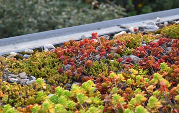 the cost of Bells Corner green roof installation