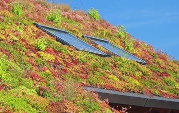 Bells Corner living roof systems