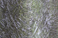 Bells Corner fibreglass roof work